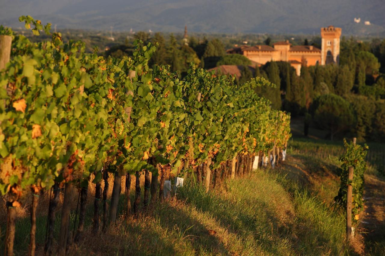 Appartamenti Nelle Vigne Capriva del Friuli Buitenkant foto